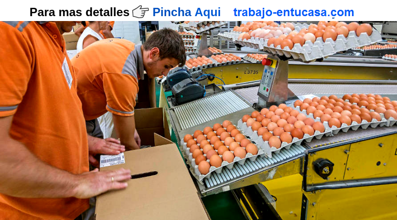 FABRICA SOLICITA PERSONAL PARA EMPACAR HUEVOS ECOLOGICOS DESDE LA CASA