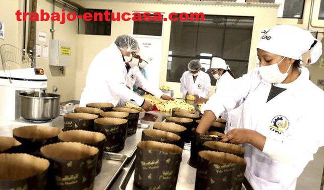 Fabrica Panadera Solicita Personal para Empacar y Embolsar Panetones Artesanales desde casa plazas Limitadas