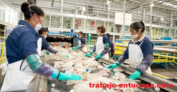 Se Necesita Personal para Embotellar y Etiquetar Alcohol Gel desde casa Plazas Limitadas