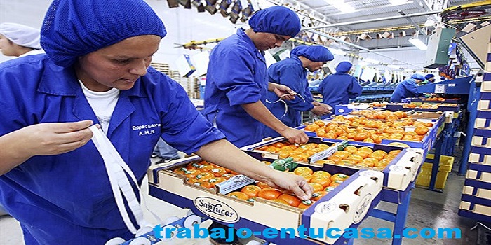 Se Necesita Urgente Personal Para Empacar y Etiquetar Frutas Seleccionadas desde casa Plazas Limitadas