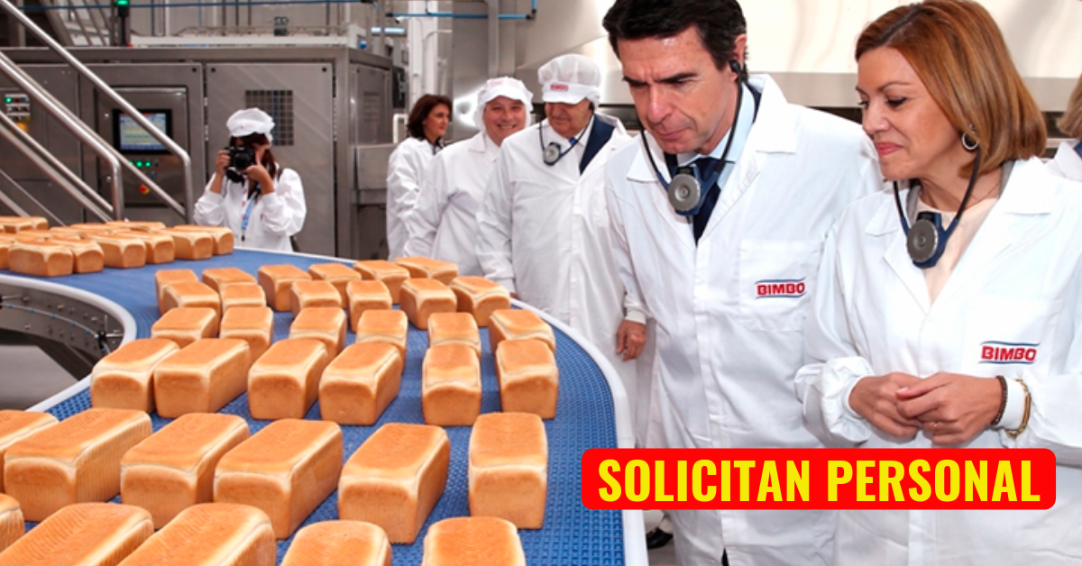 Fabrica BIMBO Solicita Personal Para Embolsar Pan de Molde Desde Casa Plazas Limitadas