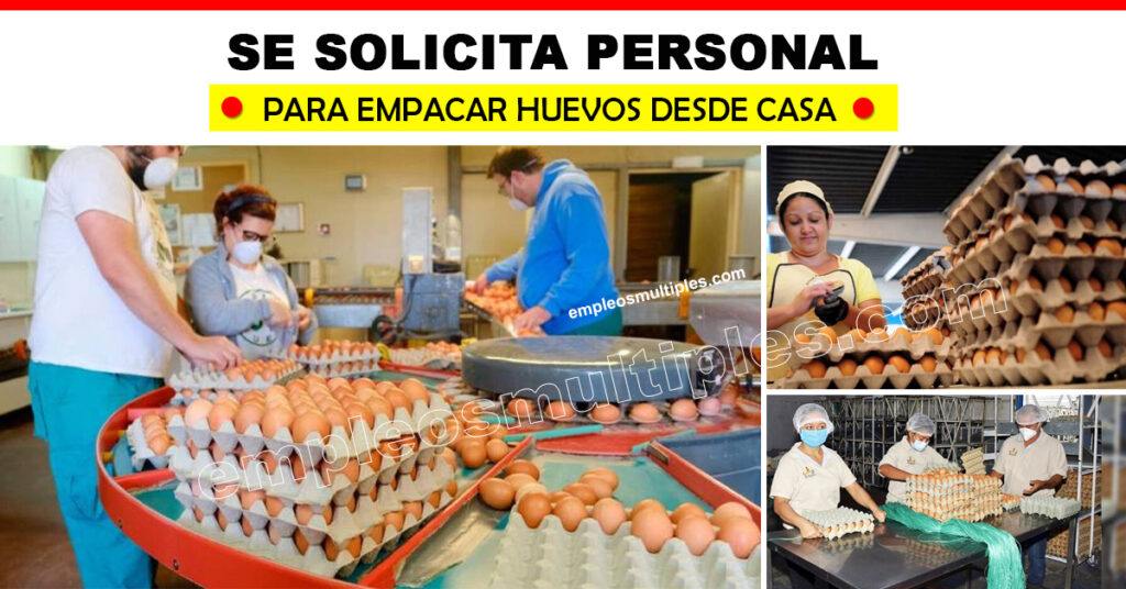 Se Solicita Personal Para Empacar Huevos de Corral desde tu casa Plazas Limitadas