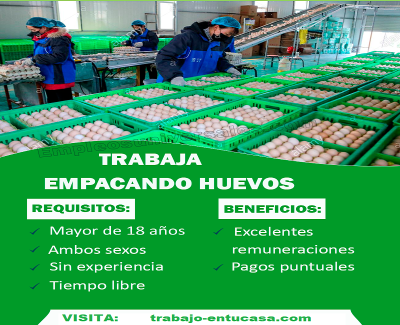 Avicola Nacional Necesita Personal Para Empacar Huevos Ecologicos 120 Vacantes Limitadas