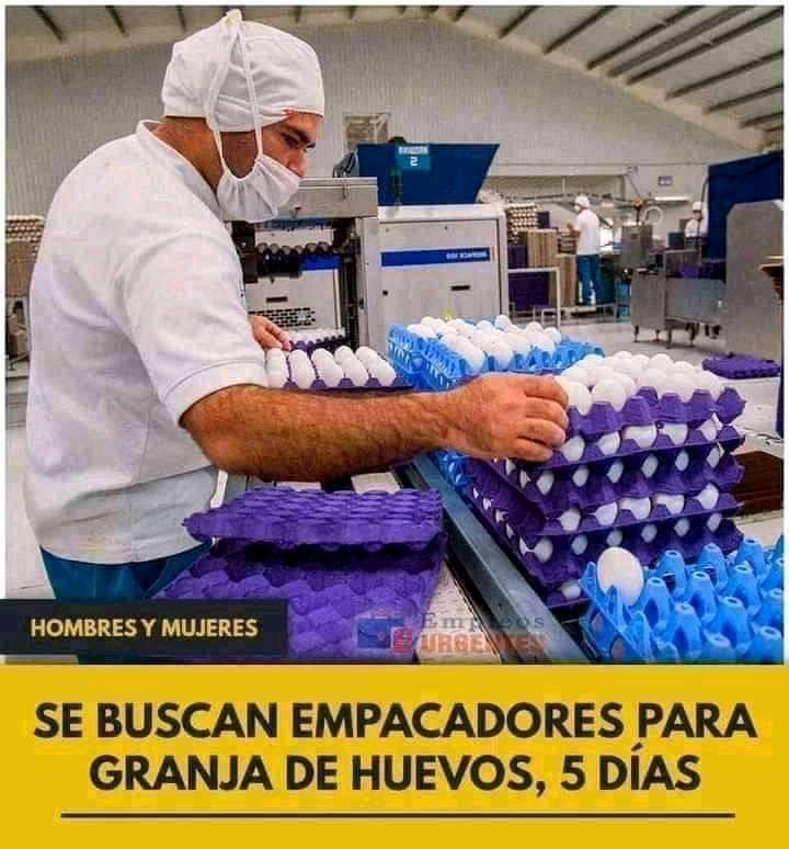 Se Buscan Empacadores para Huevos de Granja Ecológicos Plazas Limitadas